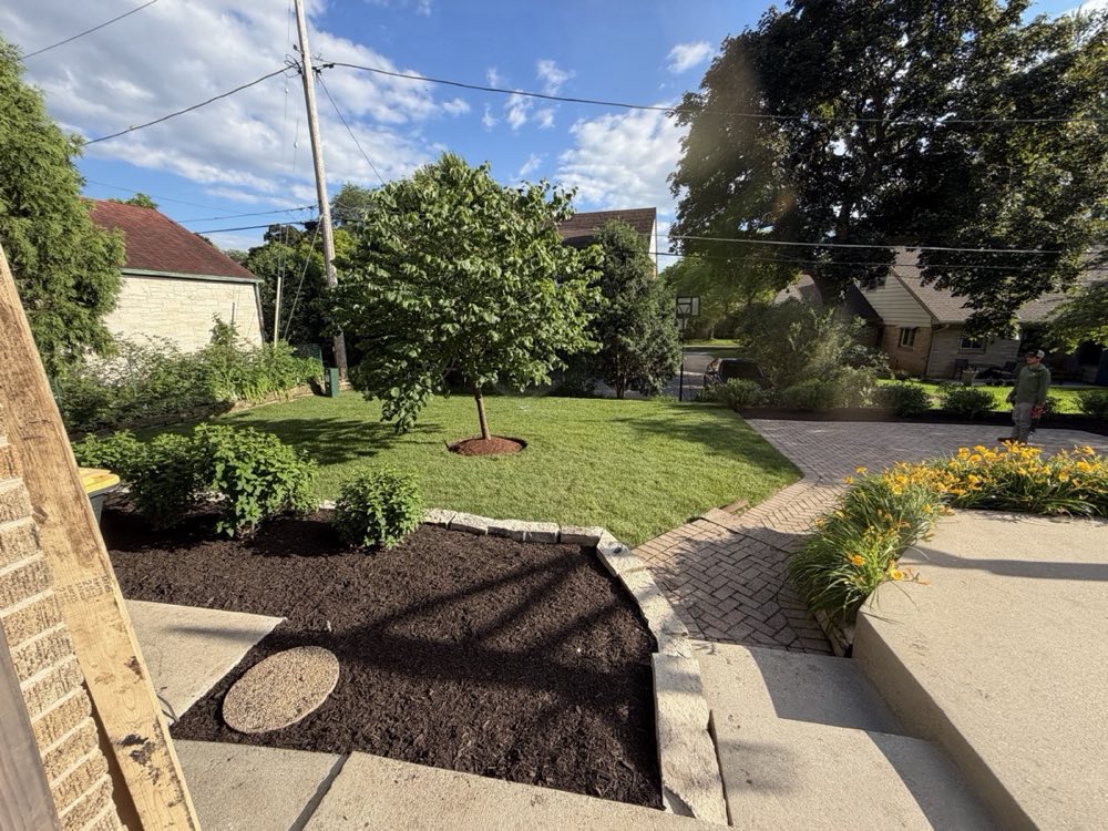 Completed landscape with stone retaining wall, mulch beds, and day lilies