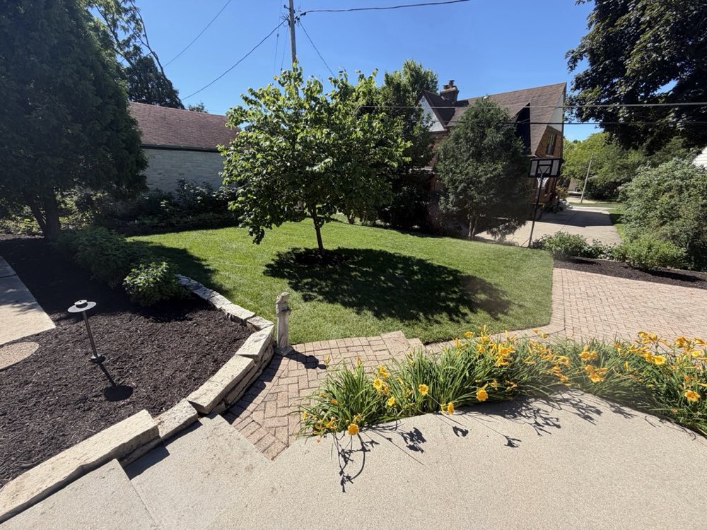 Completed project with mature shrubs and paver driveway