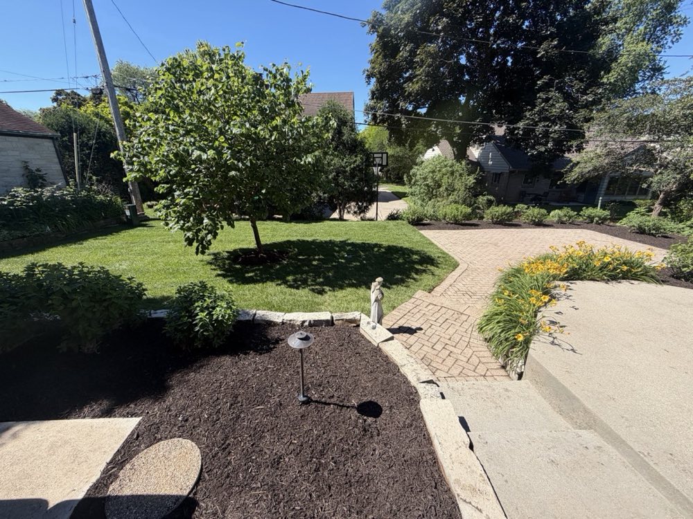 Finished front yard landscape with day lilies, brick path, and mulch beds